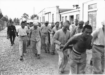 Prisoners in Dachau (3) - Prisoners in Dachau