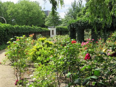 Fig. 11: Rose garden - Rose garden at the Bullenhuser Damm memorial site, Hamburg, June 2022. View onto the fence with the memorial panels dedicated to the murdered children, doctors and caretakers