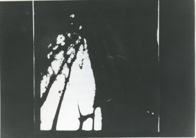 Template 4 - The photo taken by the Sonderkommando from the collection of the Auschwitz-Birkenau Memorial and Museum (Miejsce Pamięci i Muzeum Auschwitz-Birkenau), inventory no. 283 