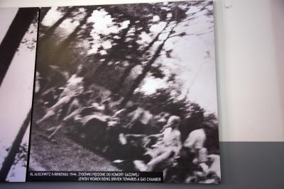 Eine der historischen Vorlagen für Richters "Birkenau" - Eine der historischen Fotografien, die Gerhard Richter als Vorlage für seinen Bilderzyklus diente. Staatlichen Museums Auschwitz-Birkenau, Oświęcim 2019. 