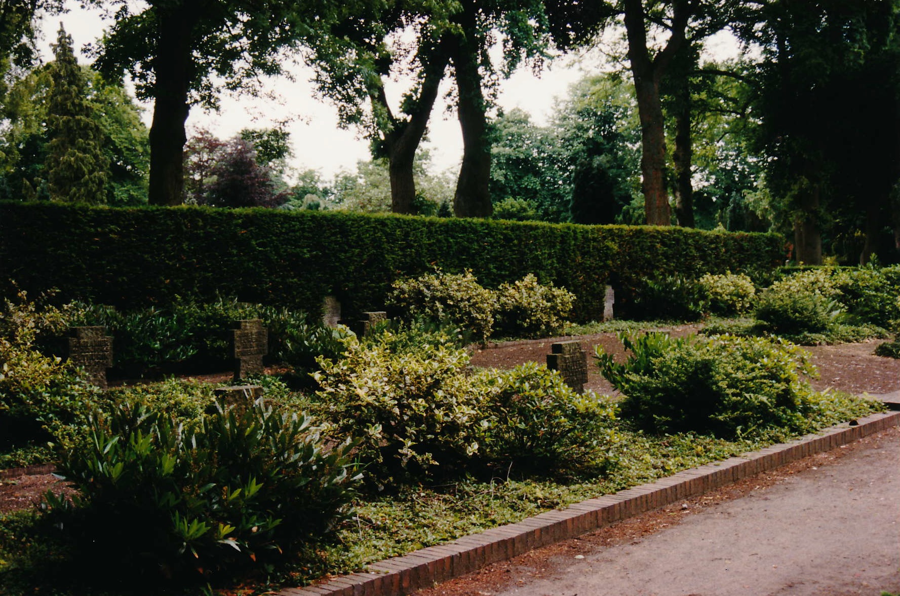 Buriel ground for soldiers, where probably the polish soldier was burried 