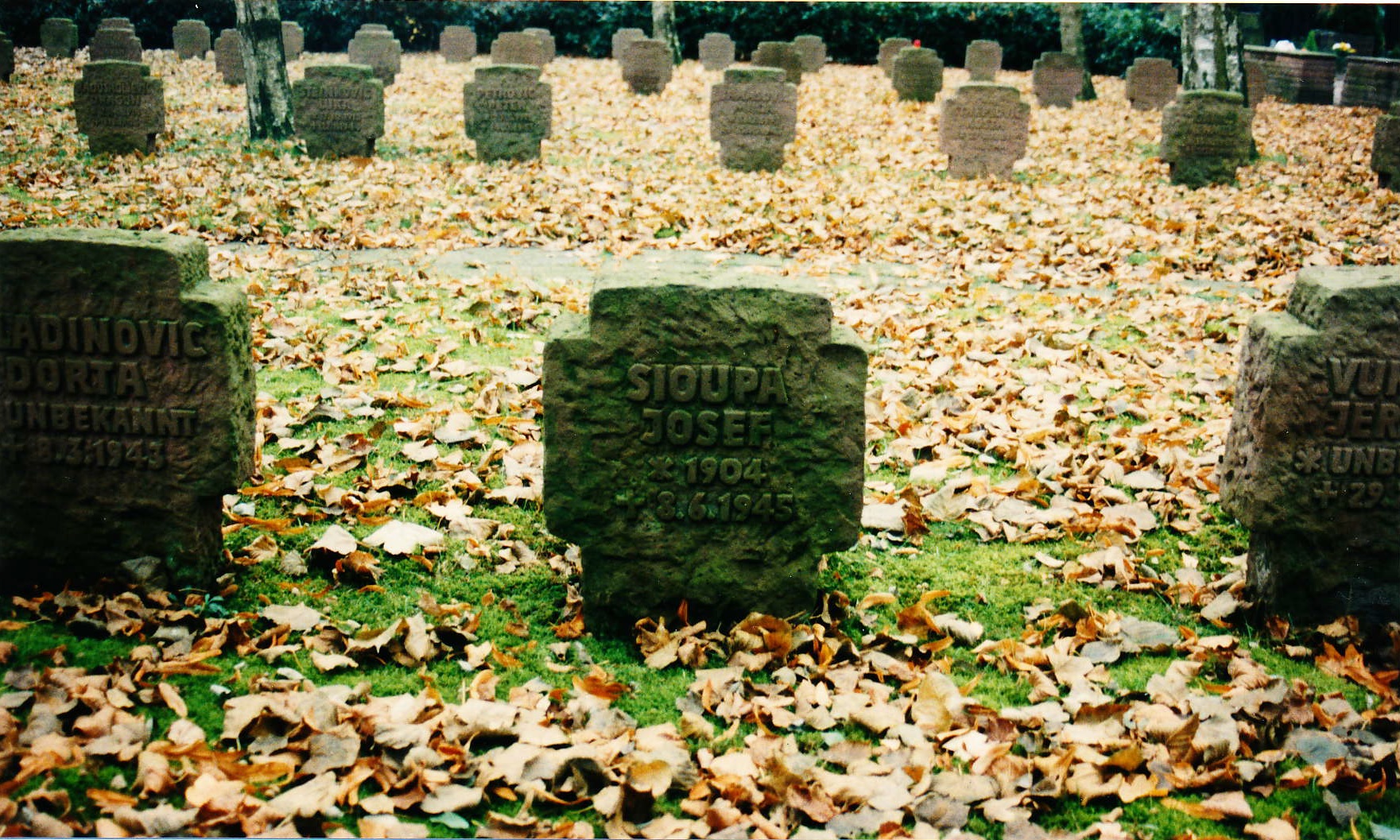 Das einzige Grab der drei in Lingen bestatteten polnischen Soldaten