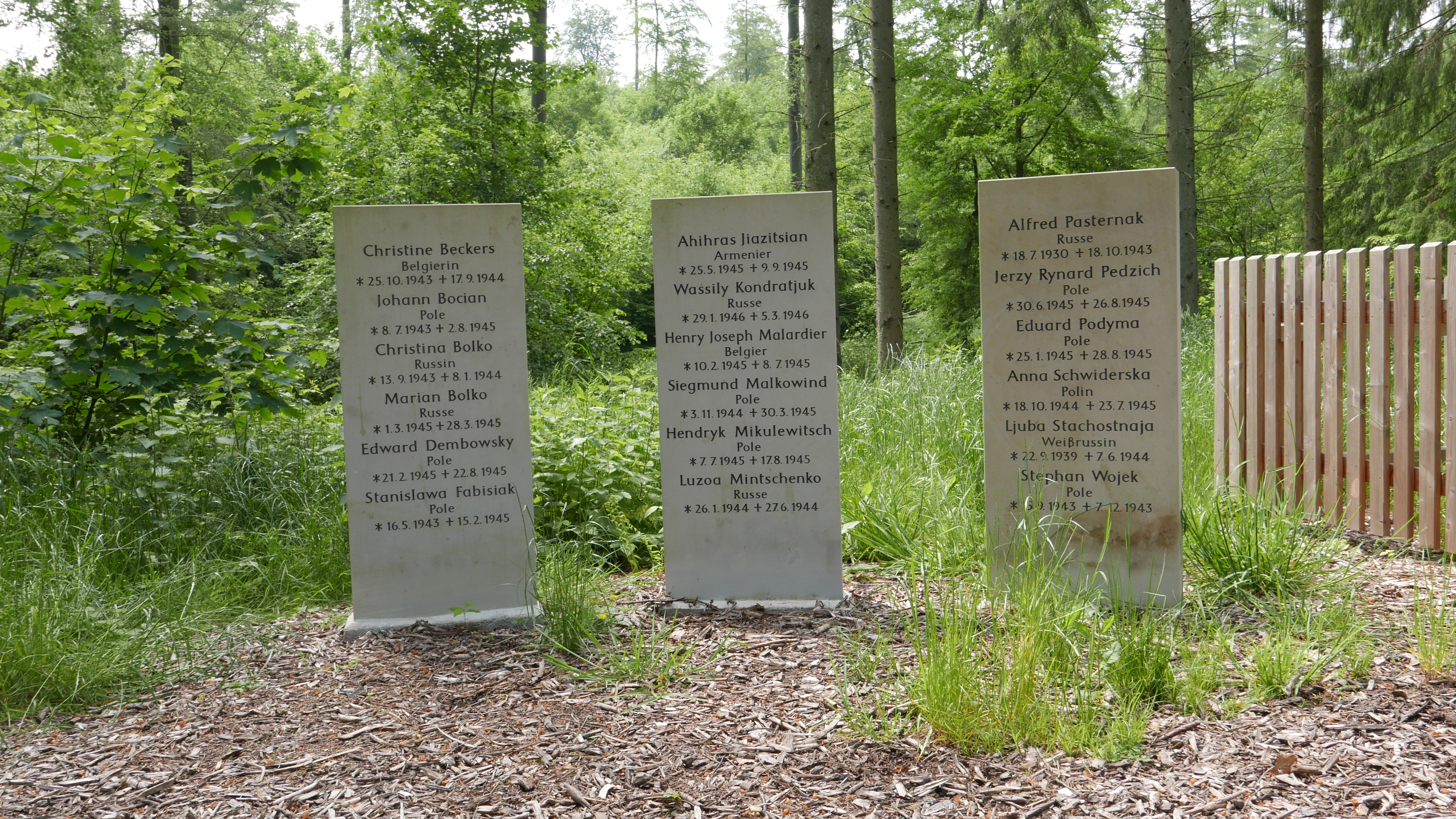 Friedhof der vergessenen Kinder