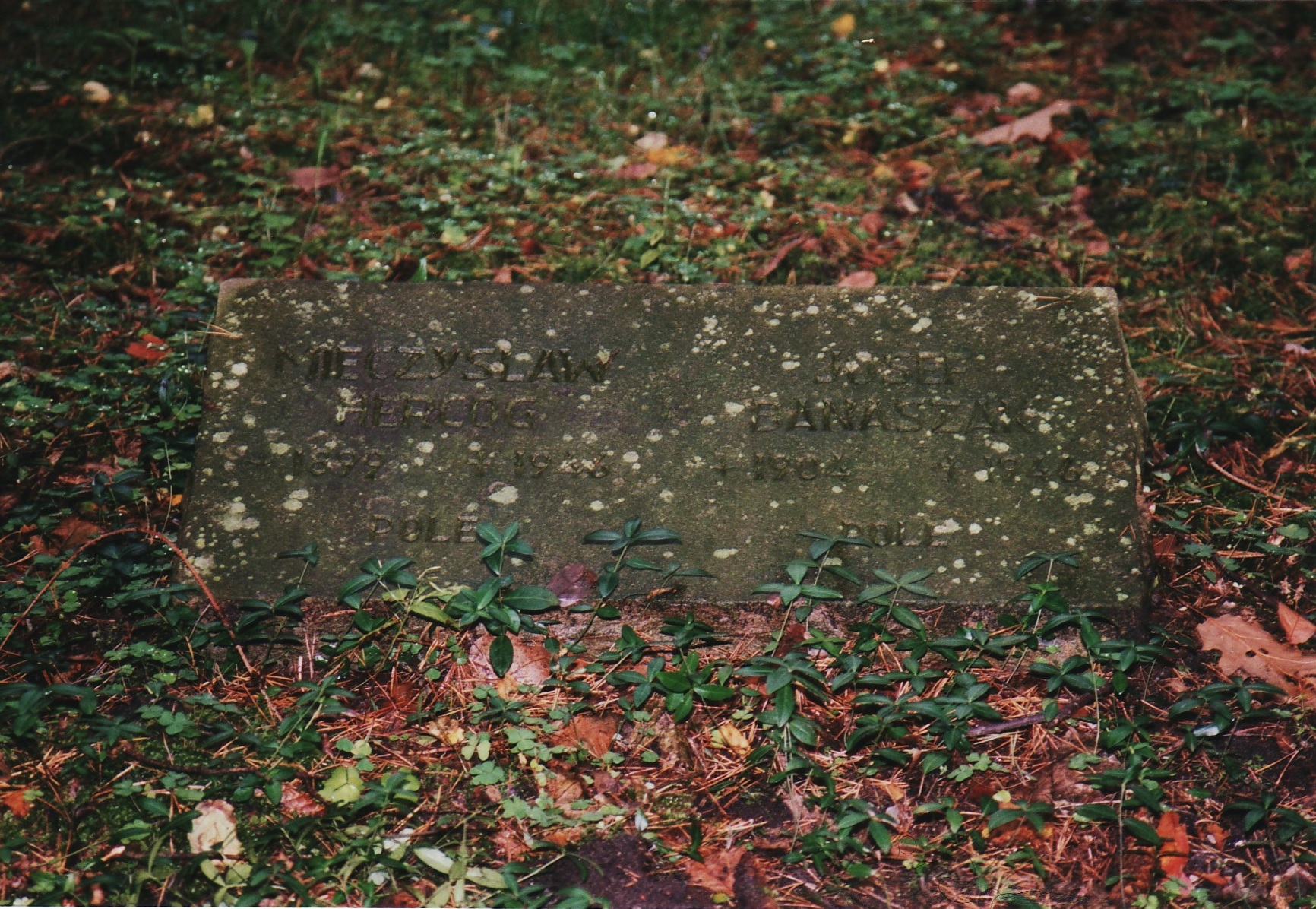 Grabstein des polnischen Soldaten in Paderborn-Sennelager