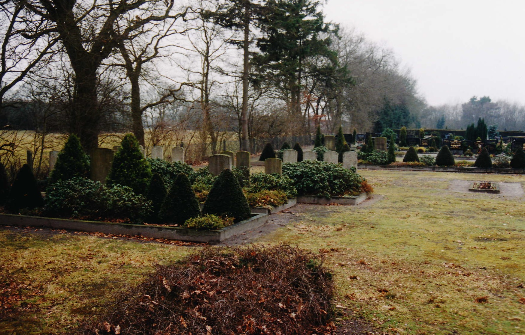 War burial field at the cemetery