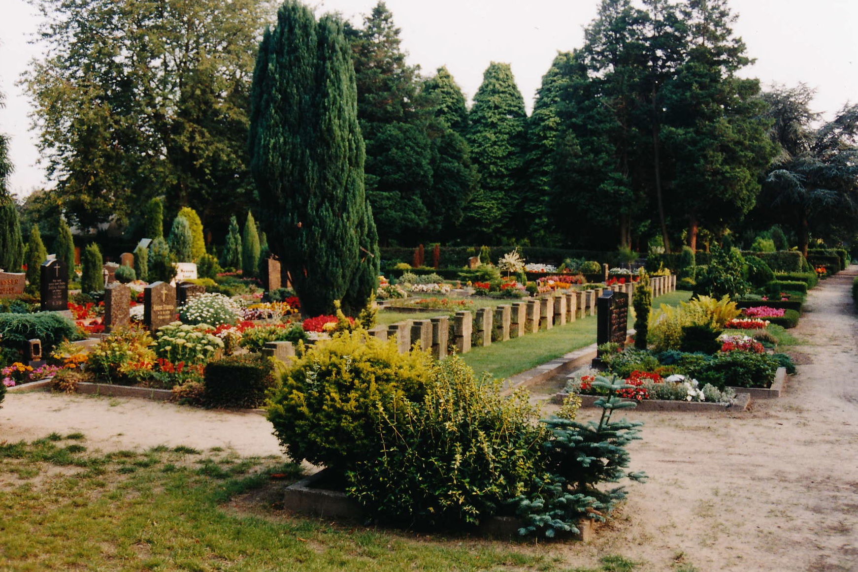 Burial ground of german soldiers