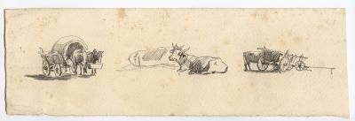Roman Kochanowski, Skizzenbuchblatt mit Ochsengespann, einem liegenden Ochsen und einem Ochsen am Wagen, Bleistift auf Papier, 7,3 x 23 cm