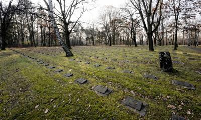 Cmentarz Parkowy Marzahn: Widok ogólny pola urnowego 1, 2 i 3.  
