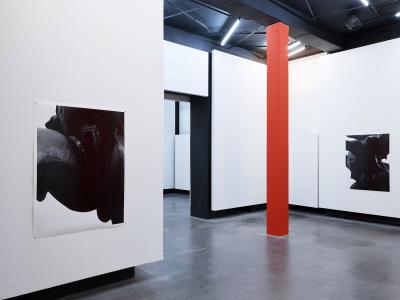 Agata Madejska, Installation view, 2017 - Agata Madejska, Installation view, Technocomplex, Parrotta Contemporary Art, Stuttgart, 2017.