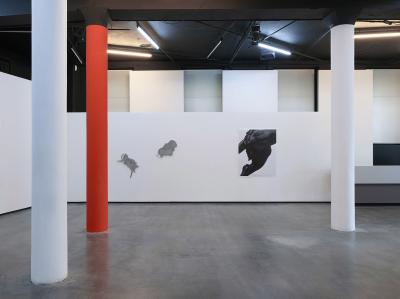 Agata Madejska, Installation view, Technocomplex, Parrotta Contemporary Art, Stuttgart, 2017.