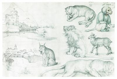 Luchs nach einer Skizzenbuchseite von Albrecht Dürer, 2009. Digitaler Tintenstrahldruck auf Papier, 26,4 x 39,7 cm.