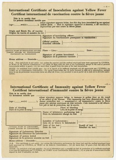 Dokument Nr. 111/3 - Internationales Impfbuch von A. Topolnicki mit Lichtbild und Einträgen: Impfung gegen Pocken am 7.2.1951 in Schweinfurt. Keine Einträge über sonstige Impfungen.  