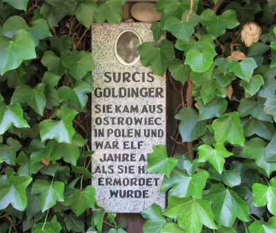 Gedenktafel für Surcis Goldinger aus Ostrowiec Świętokrzyski, Rosengarten bei der Gedenkstätte Bullenhuser Damm, Hamburg, Foto: Juni 2022
