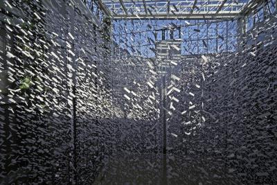 Untitled, 2012. Paper, nylon string, glue, ca. 66,000 paper cards, each 2 x 7 cm, H = 700 cm, W = 800 cm, D = 800 cm, Atrium im Dominohaus, Reutlingen (Danuta Karsten exhibition: “Papier bewegt”)