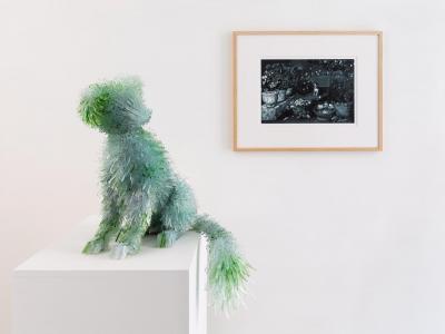 Rincon de jardin con un perrito / Garden View with a Dog według Tomasa Yepesa, 2014, szkło, metal, 45 x 45 x 30 cm, wydruk atramentowy na papierze, 27 x 39,5 cm.