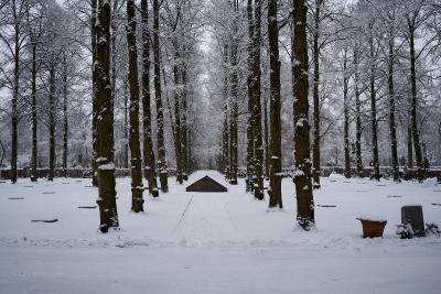Grabstätte der Ermordeten des KZ Dachau - Grabstätte der Ermordeten des KZ Dachau auf dem Friedhof Am Perlacher Forst, München. 