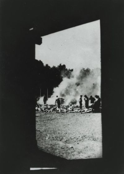 Vorlage 1 zu "Birkenau" - Das vom Sonderkommando angefertigte Foto Nr. 1, Inventar Nr. 280 