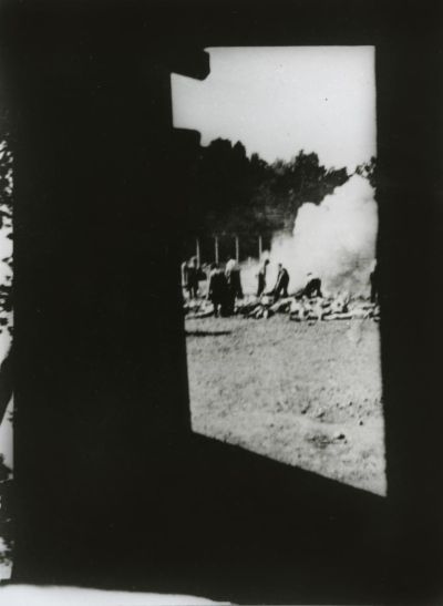 Vorlage 2 zu "Birkenau" - Das vom Sonderkommando angefertigte Foto Nr. 2, Inventar Nr. 281 