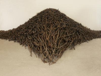 ill. 55: Wooden Object, 2006 - Wooden Object, 2006. Branches, 235 x 170 x 43 cm, de Weryha Collection, Hamburg