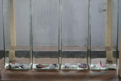 Sediment I/ Osad I oraz II, 1999-2000 (wystawa Rolanda Schefferskiego Empty Images, Centrum Sztuki Współczesnej Łaźnia, Gdańsk 2007)
