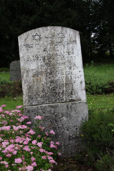 Monument, stone slab at the gate and more tombstones -  