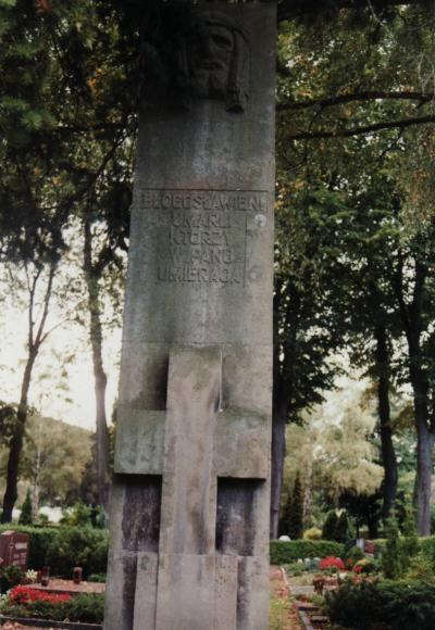 Tombstones and the back of the stele at the polish burial field -  