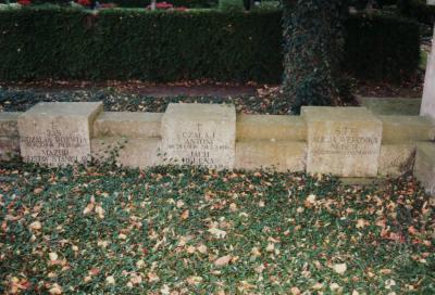 Tombstones and the back of the stele at the polish burial field -  