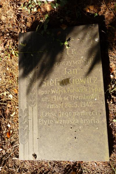 War cemetery in Sandbostel -  
