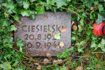 Polish tombstones and memorial plaque
