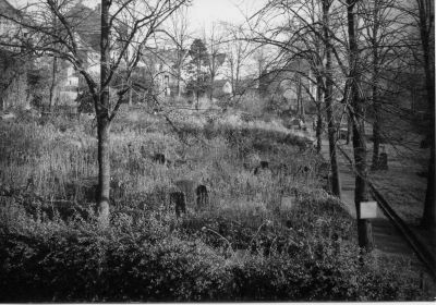 Abb. 4: Alter Friedhof Bornstraße, etwa 70er/80er Jahre - Alter Friedhof Bornstraße Wetter/Ruhr, undatiert (etwa 70er/80er Jahre). 