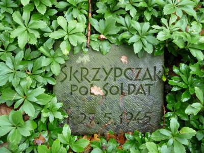 Grabsteine von elf polnischen Kriegsgefangenen -  