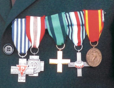 Zbigniew Muszyński: Medals - Zbigniew Muszyński: Medals 
