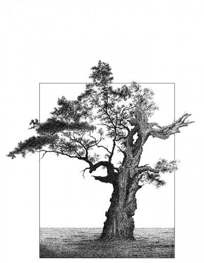 Helena Bohle-Szacki, Dunkler Baum, Tusche auf Karton, 1987