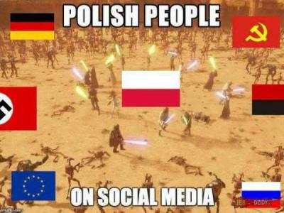 „Die Polen in den sozialen Netzwerken“