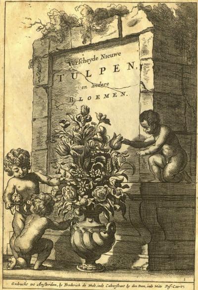 Blumenwerke, 1662 - “Verscheyde Nieuwe Tulpen, en andere Bloemen” and “Novae et exquisitae florum icones“, with engravings by Jeremias Falck, Hamburg 1662, published by Frederik de Wit in Amsterdam (Block 64, 65), bound in a single volume.  